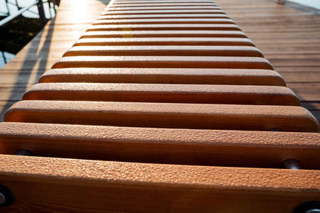 Drops of ross on the boards shine in the rays of the morning sun, a pattern of wood, a wet park...