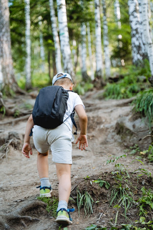 Summer holidays in the forest, the boy climbs the mountain view from behind, the child in shorts...