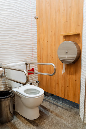 Toilet for people with disabilities, metal railings above the toilet, assistance to sedentary...