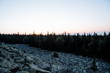 Morning in the mountains, the dark silhouette of the forest against the background of the rising sun, gray stones on the mountainside, spruce forest, peaks of sharp Christmas trees, mixed forestの写真素材