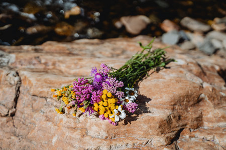 A bouquet of wildflowers lies on a stone, a fading bouquet of summer flowers, a botany plant, picked flowers laid on a stone. high quality photoの写真素材