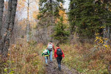 Hiking in the autumn forest, family recreation in nature, people with backpacks go to the forest,...