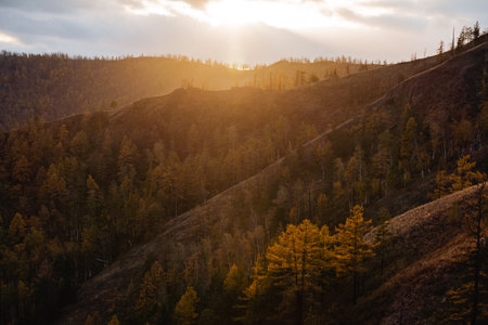 Glare of the sun setting sun at sunset, autumn forest in the mountains, landscape, beautiful sunrise high in the mountains. High quality photoの写真素材