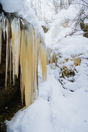 Icicles hanging on rocks in winter forest, spring drops, winter trekking, landscape, white snowdrifts. High quality photoの写真素材
