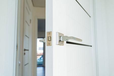 An ajar door in the room, a built-in door lock, chrome decor elements in the interior of the...