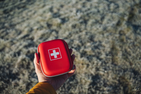 A personal first aid kit, a red box with medicines, a first aid kit in your hand against the...
