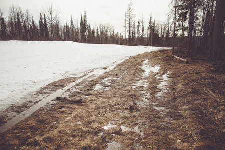 Scenic winter landscape with road and snowy trees.