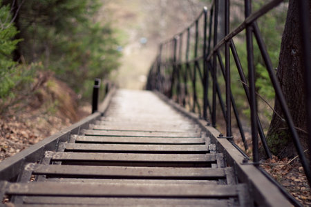 A wooden staircase with a black metal railing winding its way down through a lush, green forest, creating a charming, rustic pathway for hikers and nature enthusiasts.の写真素材