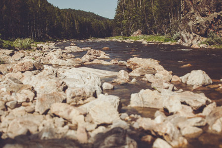 A serene rocky river in the mountains with clear green-blue water and lush green trees on the shore....