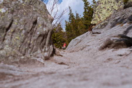 A serene, picturesque landscape of a narrow, winding rocky path surrounded by bare trees and colorful autumn leaves. A solitary figure in a vibrant red jacket hikes in the distance.の写真素材