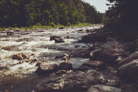 A mesmerizing scene a rushing river winding through a lush forest, its clear waters cascading over...