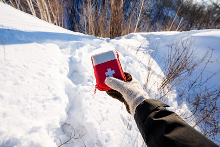 Tourist first aid kit for hiking in the mountains, individual set of medicines,. High quality photoの写真素材