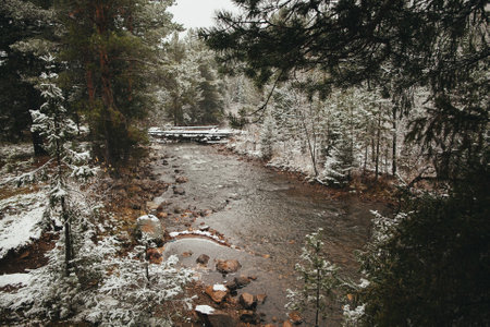 A river flows through a snowcovered forest with trees and plants covered in snow, creating a serene...