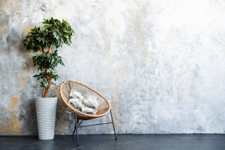 Inside the room, next to the window, there is a chair made of wood and a houseplant in a flowerpotの写真素材