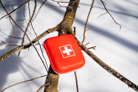 A carmine first aid kit hangs from a tree branch, resembling a lifebuoy in the winter snowcovered plant, wood, and twigfilled landscapeの写真素材