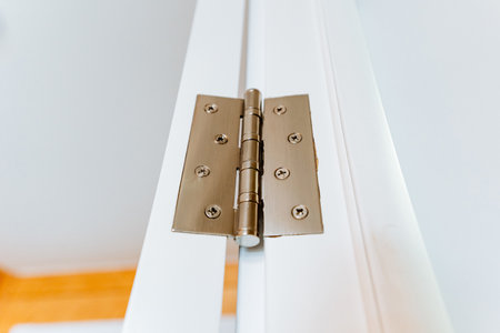 A close up of a door hinge resembling a musical instrument. The beige color and natural material give it a hardwood appearance, similar to plucked string instruments like a guitar or banjoの写真素材