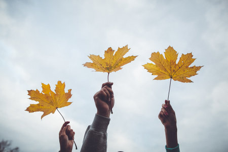 Three individuals are lifting yellow maple leaves in the air, creating a beautiful display of...