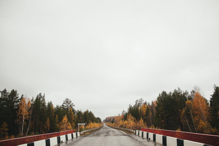 A bridge made of wood and asphalt spans over a road in the middle of a forest, with trees, sky, and clouds enhancing the natural landscapeの写真素材