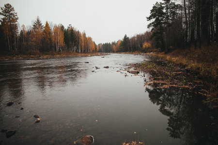 A serene watercourse flowing through a lush landscape of trees under a cloudy sky, creating a...