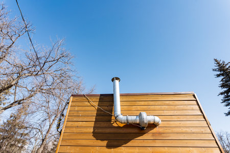 A wooden roof tops the building, with a pipe extending into the sky. The house is surrounded by...