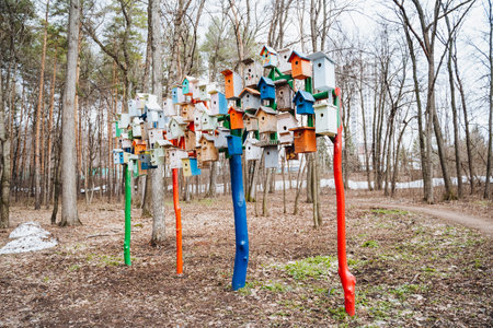Colorful birdhouses add charm to the natural landscape of the forest, sitting atop a tree with a backdrop of green grass and clear skyの写真素材