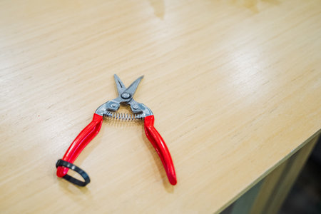 A pair of needlenose pliers sits on a hardwood table, next to a toy wing and electric blue snips. The table is made of sturdy flooring woodの写真素材