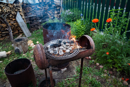A barbecue grill is sitting in the grass in a backyardの写真素材