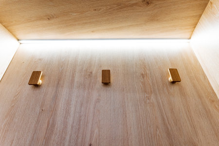 A wooden wall with hooks, lit by a light. The surface appears treated with varnish or wood stain,...