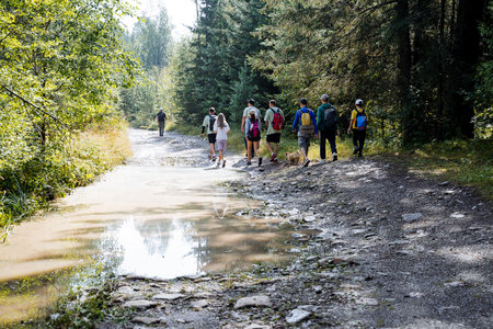 A diverse group of people is walking along a muddy path that winds through the lush, vibrant woods,...