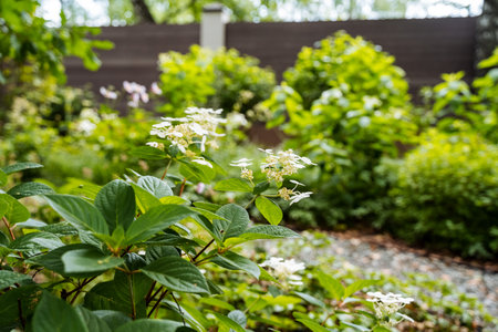 A serene garden scene showing an abundance of lush greenery complemented by delicate flowers, creating a peaceful, tranquil outdoor retreat filled with stunning natural beautyの写真素材
