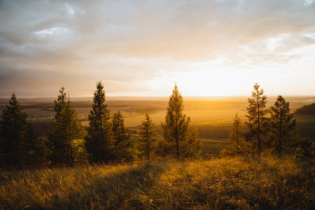 Witness a breathtaking sunset casting a golden glow over the valley, framed by evergreens, embodying natures tranquility as day turns to night with brilliant colorsの写真素材