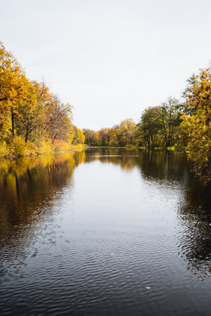 A winding river flows gracefully through an expanse of lush trees whose goldenyellow leaves shimmer gently. This creates a picturesque scene on a cloudy day, enhancing the serene ambiance all aroundの写真素材