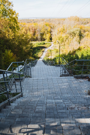 A beautiful set of stairs gracefully leading up to a vibrant, lush green forest filled with trees,...
