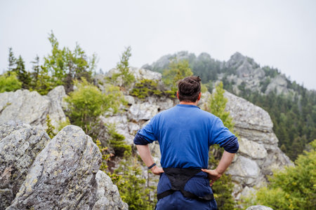 A lone hiker in a blue shirt is in awe of a stunning mountain peak, amidst lush greenery and rocky...