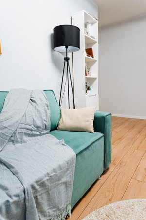 This is a modern living room setting that features a lovely and cozy green sofa, a decorative throw blanket, and an elegant floor lamp, ideal for cozy design inspirationの写真素材