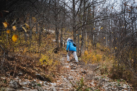 A solitary individual dressed in a bright blue jacket is leisurely walking along a winding path that...