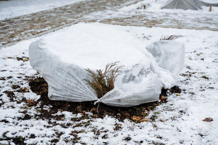 In a serene winter scene, a tall tree adorned with a colorful plastic bag contrasts sharply with the pristine white snow, creating a peculiar and captivating sight that sparks curiosityの写真素材