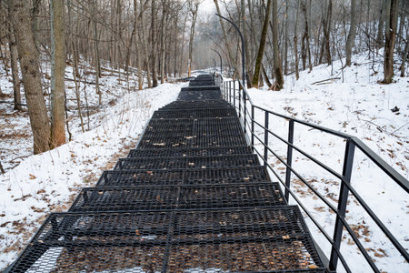 There is a stunning and beautiful set of stairs that climb elegantly upwards, directly leading into a picturesque and serene snowy forest that is perfectly blanketed with pure white snowの写真素材