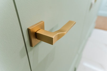 This image provides a closeup view of a beautifully designed door handle that is affixed securely to...