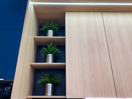 Three beautiful potted plants are gracefully sitting on a rustic wooden shelf in a cozy kitchen, thereby adding a delightful touch of nature and freshness to the overall interior decor of the spaceの写真素材