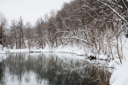 A snowy river meanders through a tranquil landscape, flanked by majestic, snowcovered trees, creating a stunning winter wonderland that invites exploration and admirationの写真素材