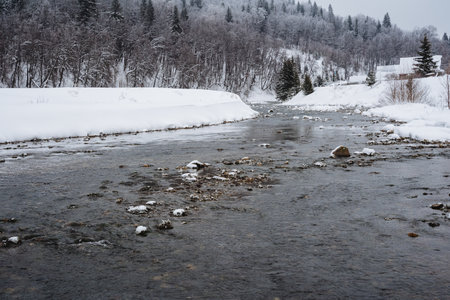 A scenic river flows peacefully, adorned with snow covering the shores, while majestic trees can be seen in the background, creating a beautifully serene winter landscapeの写真素材