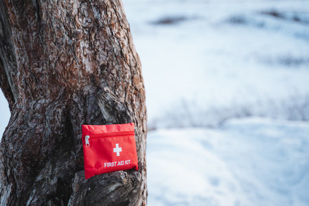 A bright red first aid kit is resting on a large tree trunk that is covered in a blanket of white snow, creating a striking contrast between the vivid color of the kit and the snowy landscapeの写真素材