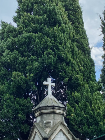 An impressively crafted church featuring a prominent cross stands tall among beautifully vibrant trees, creating a serene atmosphere that is deeply embraced by the tranquility of nature all around itの写真素材