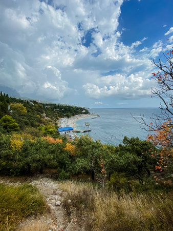 A serene path that gently leads to a picturesque beach, which is beautifully enveloped by trees, all under the soft embrace of a cloudy day, reflecting natures tranquility and beautyの写真素材