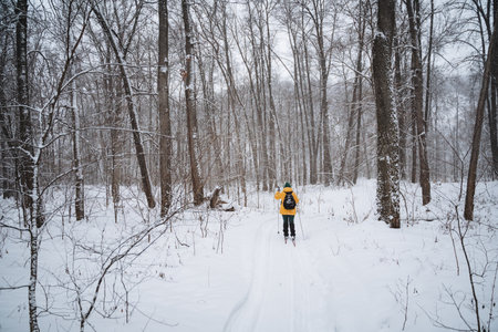 A solitary person strolls down a snowy path winding through serene woods, surrounded by tall trees with frosty branches, creating a peaceful atmosphere ideal for nature adventuresの写真素材