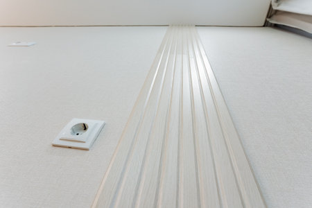 A prominent and striking row of clean, bright white stripes placed meticulously on the floor next to...