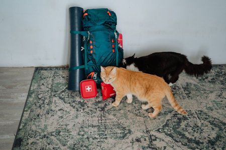 Two incredibly adorable cats stand gracefully on a cozy, soft rug next to an open backpack, suggesting the remnants of a recent adventure or a playful moment, creating a wonderfully charming sceneの写真素材