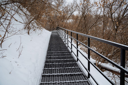 There is a bridge that features a set of stairs gently leading down into a beautiful snowy forest...