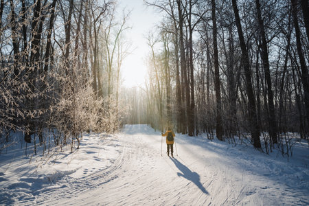 An individual skillfully skis down a snowy path within peaceful woods, encircled by towering trees,...